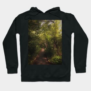 Boardwalk into the Forest Hoodie